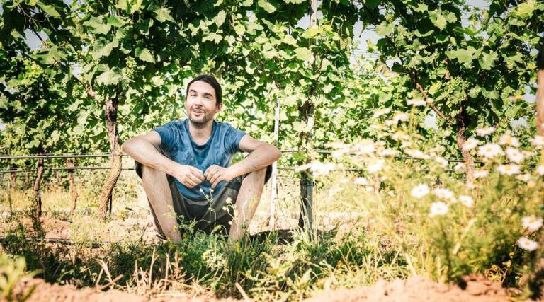 Weingut Michael Opitz - Burgenland -Austria - Wine Tasting - The Good Gourmet
