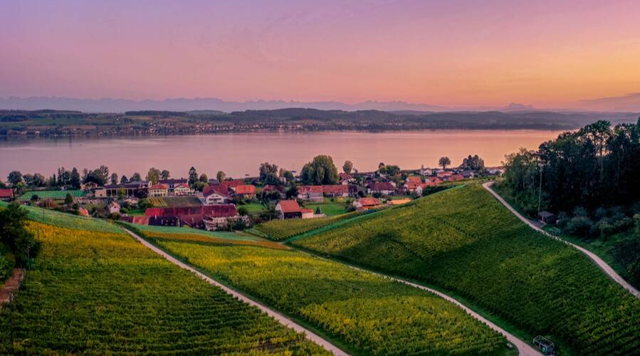 Guillod - Vully - Switzerland - Wine Tourism - The Good Gourmet
