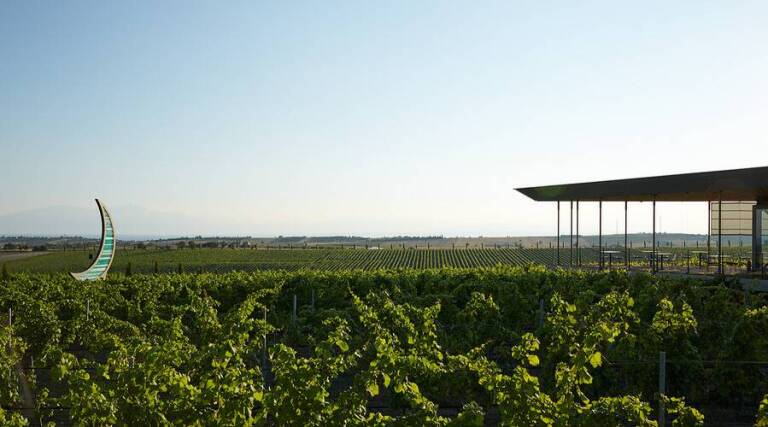 Ktima Gerovassiliou - Wine Tasting - Greece - The Good Gourmet