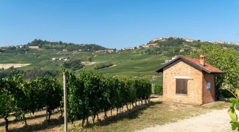 Aurelio Settimo - Piedmont - Winery - The Good Gourmet