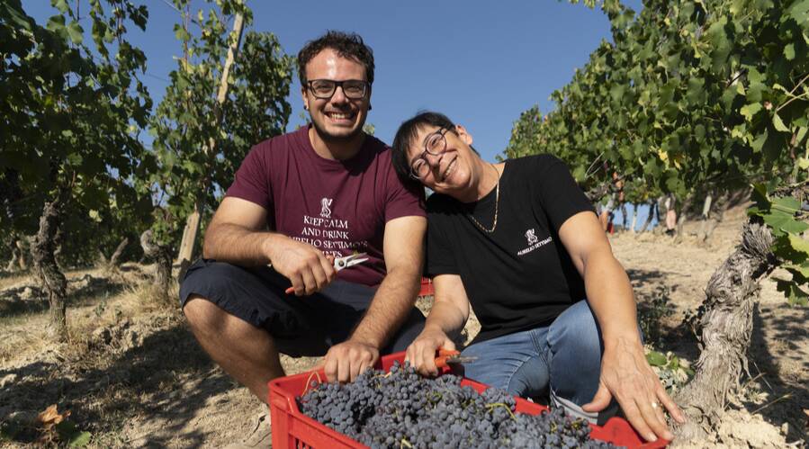 Aurelio Settimo - Wine tourism - Piedmont - The Good Gourmet