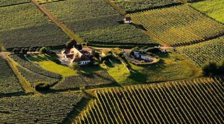 Patricius Borhaz - Tokaj - Hungary - Wine Tasting - The Good Gourmet