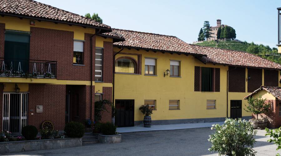 Grimaldi Vini - Piedmonte - Italy - Wine Tasting - The Good Gourmet